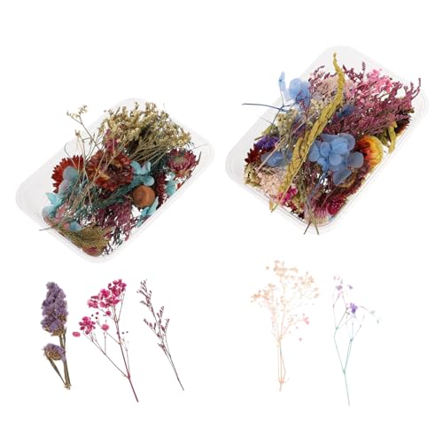 Mini flores secas prensadas delicadas para manualidades y decoración