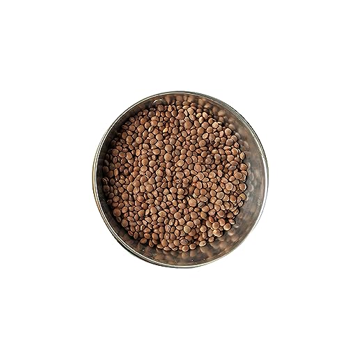 Image of ORGANIC TATTVA Organic Masoor Whole 500G | Sabut Masur Dal |Rich In Protein | Naturally Gluten Free | Unpolished Dal | Pesticide And Chemical Free | Pack Of 4, 2 Kg