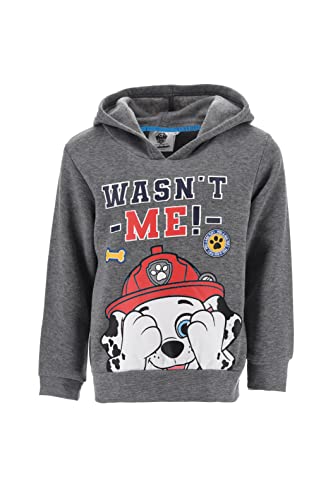 Nickelodeon Pat Patrouille, Sweat Shirt Gargon (Gris,5 Ans) Cover