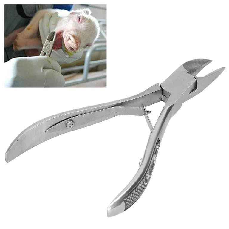 Bethlehem 12 CM Premium Stainless Steel Pig Tooth Nipper Ergonomic Design for Safe and Effective Tooth Trimming to Prevent Fighting and Ensure Healthy Piglet Development