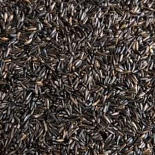 tba Wild Bird Niger Nyger Nyjer Seed- PREMIUM WILD BIRD SEED ESSENTIAL NUTRITION (2kg)