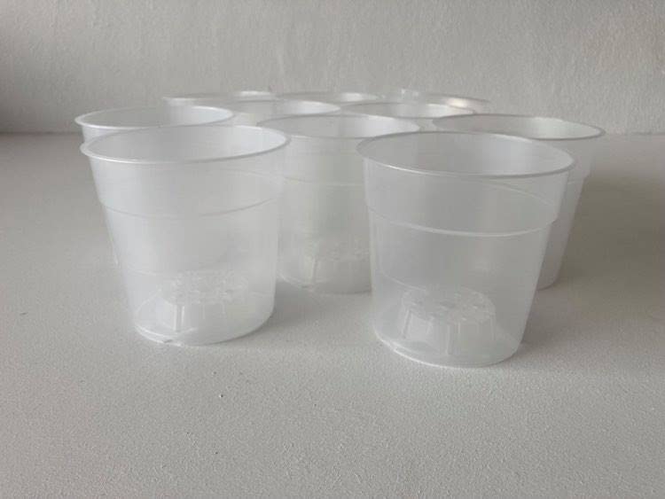 The Flowerpot Men CLEAR/TRANSPARENT ORCHID POTS 12CM (x10)