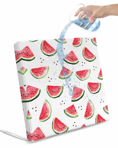 2 Pack Summer Watermelon Waterproof Cushion Covers with Ties, Outdoor Patio Chaise Lounge Chair Seat Cushion Slip Covers Replacement(Only Cover) Modern Tropical Fruit Watercolor 20