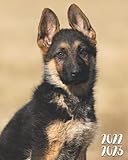  2022-2023: 2 Jahre Wochenkalender Terminplaner Wochenplaner  24 Monate Buchkalender, Januar 2022 bis Dezember 2023  Entzückender Schäferhundwelpe  Hundeliebe Geschenke