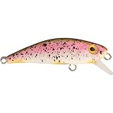 Rapture Firework