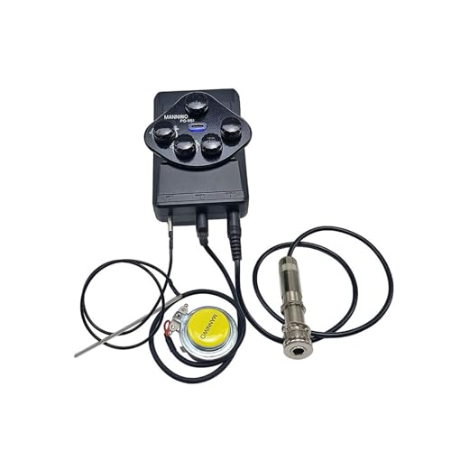 Snsowed �M�^�[���s�b�N�A�b�v DSP ���T�E���h BT ??�s�b�N�A�b�v DIY �L�b�g �N���V�b�N & �t�H�[�N�M�^�[