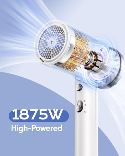 Wavytalk Hair Dryer 3003 の商品画像 1