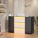 PAKASEPT Modern Reception Desk with LED Lights, 63 Inches Front Counter Table with Lockable Drawer & Shelves, Checkout Counter for Reception Room, Lobby, Beauty Salon, Retail, Office(Black)