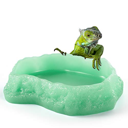 Reptile Food Water Rock Bowls - Luminous Amphibian Feeding Dish, Resin Rock Worm Feeder Terrarium for Lizards, Chameleon…