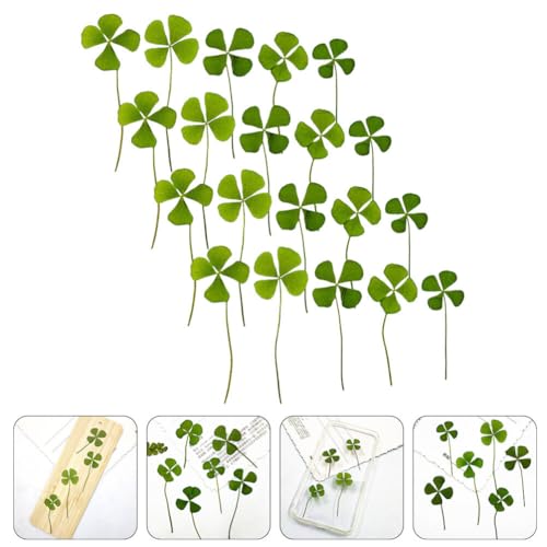 Dried Pressed Four Leaf Clovers DIY Art Crafts 24 piezas miniatura 2
