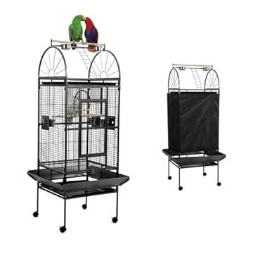best bird cages for eclectus parrots that will surprise you 1 best bird cages for eclectus parrots