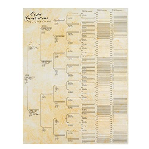 Okuna Outpost CHGYI 15 Pack Family Tree Charts To Fill In - Blank 8 Generation Genealogy Poster thumb #7