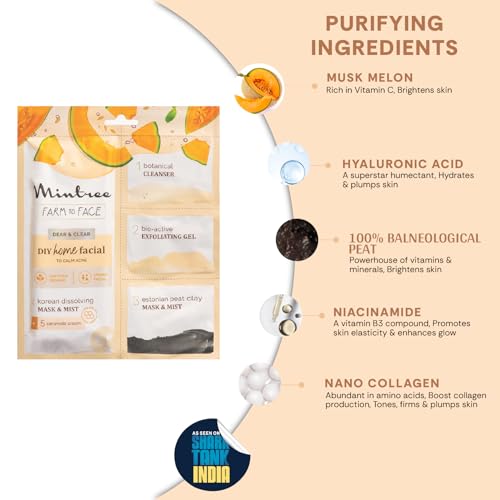 Image of Mintree Organic Muskmelon Brightening at Home Facial Kit for Women Korean Collagen Melting Mask|DeTan European Black Mask| Salon Like Glowing Skin in Easy 5 Steps| Soothes & Calms Acne