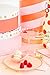 Sugar & Cloth Pale Pink Plastic Champagne Coupe Set, 4-Piece
