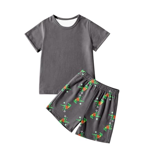 Boys Dinosaur Print T-Shirt and Shorts Set Casual Athletic Wear for Active Play and Everyday Comfort
