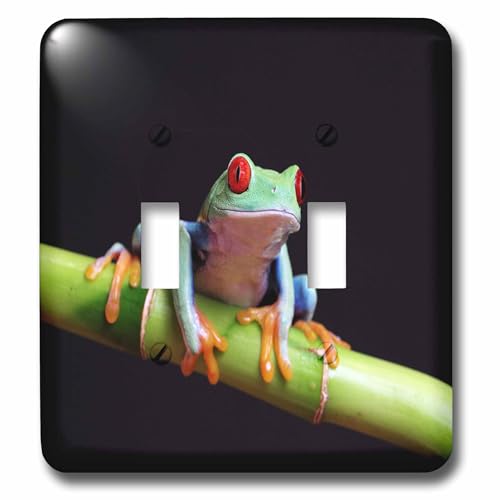 Interruptor doble de cierre de rana tropical multicolor 3dRose lsp_80758_2 para pared 2