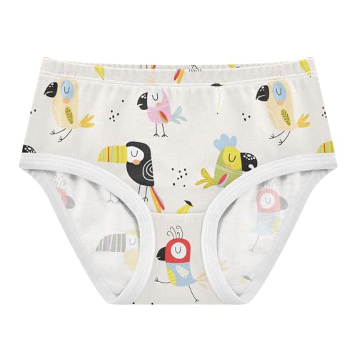 ZZKKO Cute Parrots Toucans Girls Underwear Toddler Panties for Girls Comfort Brief Size 2T-8Y