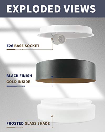Autelo Flush Mount Ceiling Light, 14" Frosted Glass Shade Close to Ceiling Light Fixture in Black Finish E26 Socket for Living Room Hallway Bedroom C3336XS BK