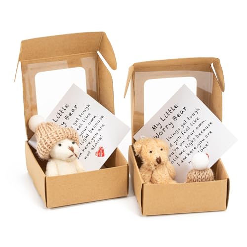 Zoruam 2 PCS My Little Worry Bear in a Box Mini Plush Bears Set Gift