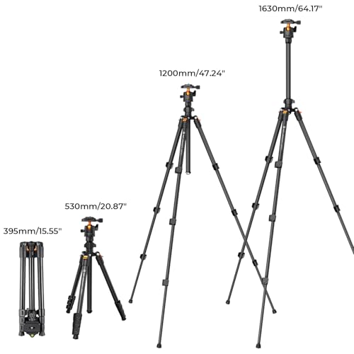 K&F CONCEPT 64 inch/163 cm Camera Tripod,Lightweight Travel Outdoor DSLR Tripods with 360 Degree Ball Head Load Capacity 17.6 lbs/8 kg,Cellphone Clip for Smartphone Live Streaming Vlog O234A1+BH-36