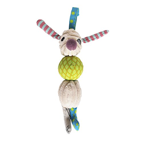 Preisvergleich Produktbild Les Déglingos 36405 Vibrations-Rassel Nonos der Hund