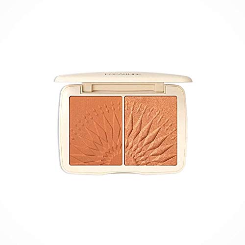 Focallure Monochromatic Blush, Duo 1