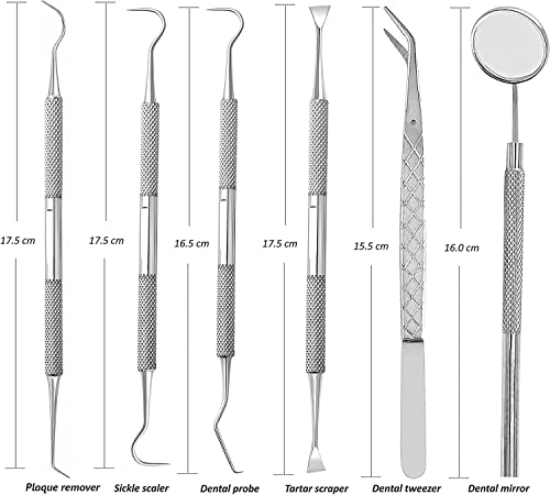 Teeth Cleaning Plaque Removal Kit, Oral Care for Personal Use 6Pcs - Image 3