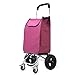 Carrello da Passeggio per Anziani, Carrello della Spesa Leggero Pieghevole 4 Ruote Carrello della Spesa di Grande capacità 50 kg di Carico (A)