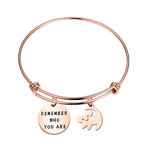 BAUNA Pulsera inspirada en la pulsera Remember Who You are - Regalo para un...