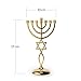Ananadashop Estrella de Oro David Candelero Decorativo Judaica 7 Rama Israel Símbolo...