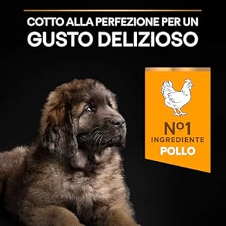 Purina Pro Plan Optistart Large Robust Puppy, Crocchette per Cani Cuccioli 12 kg