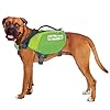 Outward Hound DayPak Green Dog Saddleback Backpack – Adventure Gear for Large Dogs