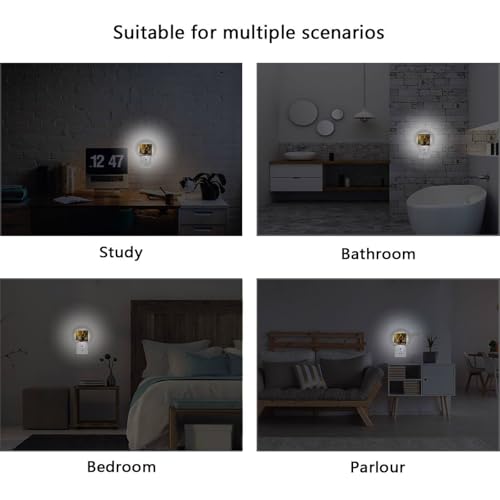 Lámpara nocturna LED de pared con sensor crepuscular miniatura 6
