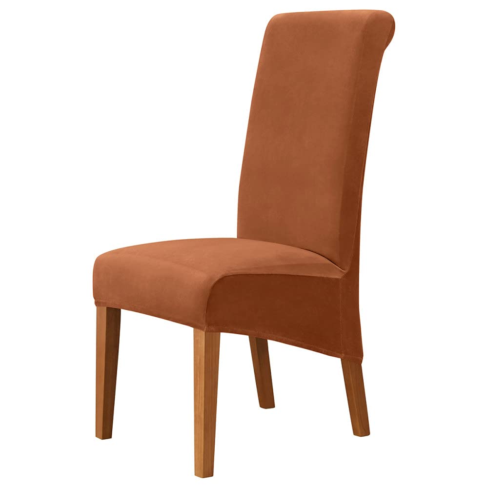 Housse de chaise XL velours extensible pour masquer un dossier usé et décorer un banquet
