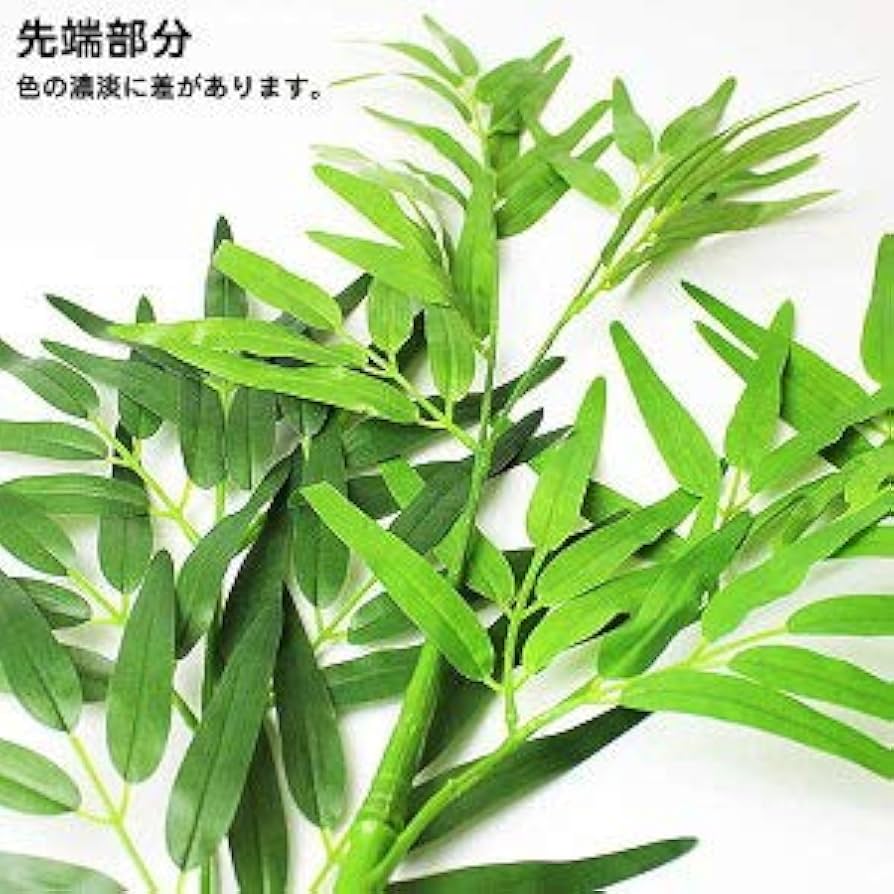 Amazon.co.jp: 七夕本格笹・リアル青竹(180cm) 組立式2分割