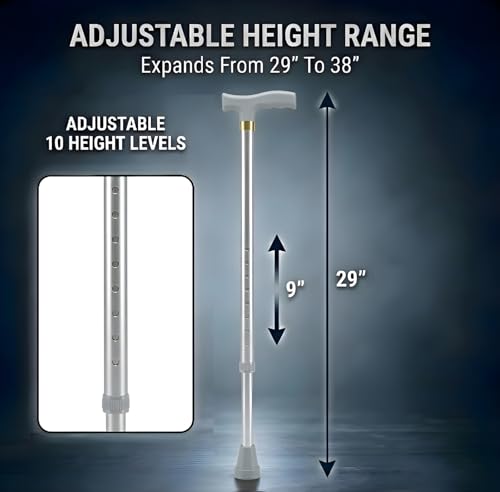 Image of MCP Jindal Premium Height Adjustable Walking Stick Aluminium Cane Trekking Support Stick for Men, Women & Old People (Silver)