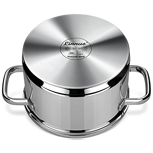 Kochtopf Linnuo Induktionskochtopf 20 cm mit Glasdeckel 3,5 l