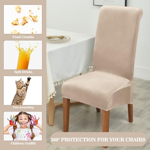 Housse de chaise velours XL kaki Alishomtll lot de 2
