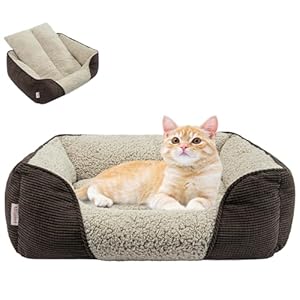 Miguel Washable Cat Beds for Indoor Cats with Removable Cushion, Easy to Wash Small Pet Sofa Bed with Side, Rectangle Bolster Kitten Bed Calming Cuddle Puppy Bed with Anti-Slip Bottom, Brown 20 Inch