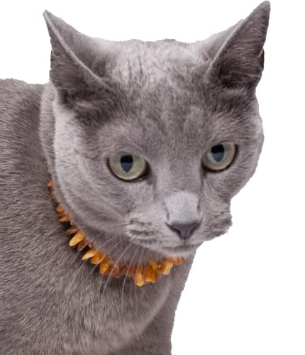 Bernsteinkette Hund | Bernsteinhalsband für Hunde und Katzen | Hundehalsband I Natürliches Halsband Hund aus echt Bernstein