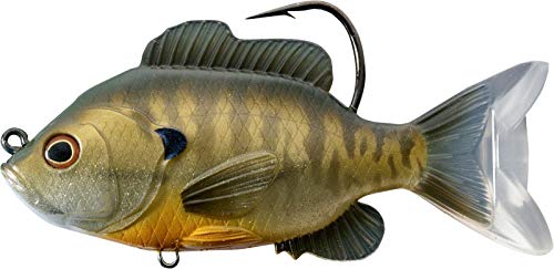 Live Target LiveTarget SFS110MS562 Sunfish -, Multicolor