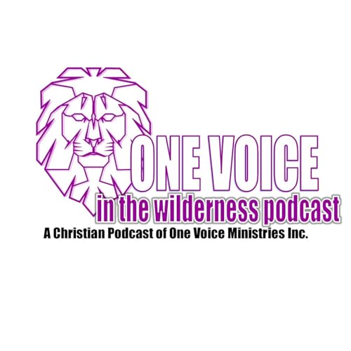 One Voice in the Wilderness Podcast By James cover art
