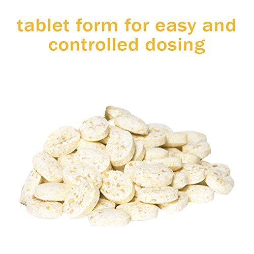 Urnex Grindz Professional Coffee Grinder Cleaning Tablets, 3 Single Use Packets #TOP3