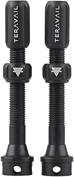 Tubeless Valve by Teravail-QBP