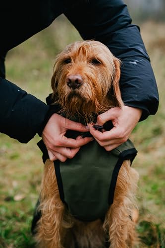 Danish Design 3-in-1-Hundemantel, Olivgrün, 25 cm, für jedes Wetter, mit Fleece gefüttert, reflektierender Regenmantel für Hunde