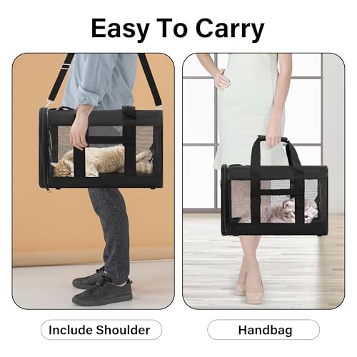 Image of Bone Cat Scratcher Cardboard Lounge Bed and Pet Travel Carrier Soft Sided Portable Bag Up to 17lbs, and Cat Scratching Post, Durable Board Pads Prevents Furniture Damage