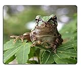 Genießen Sie Ihre Lieblingskunst direkt unter Ihrer Hand.