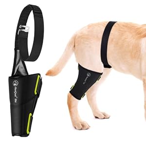 Dog Knee Brace Pro, for Dogs ACL, Luxating Patella,Dog Hip Brace for Back Leg – Keeps The Joint Warm and Stable – Extra Support – Reduces Pain（M）