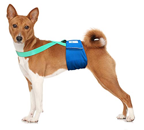 Image of Paw Inspired Dog Diaper Suspenders with Velcro Fasteners | Stretchy Adjustable Suspenders for Female and Male Disposable and Washable Diapers | Fits Small, Medium and Large Size Pets (M /L, Aqua)