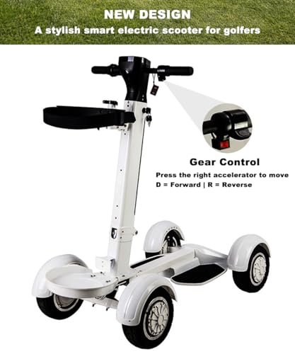 AESWGOF Smart Display Golf Scooter